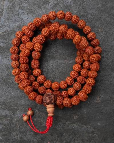 Rudraksha